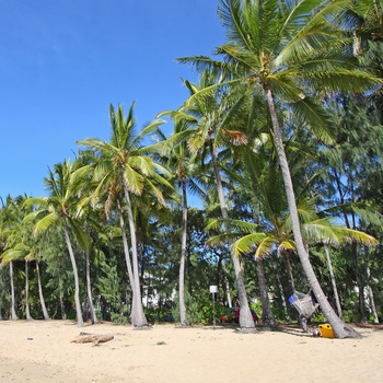 Palm Cove - Strand nord for Cairns - Queensland