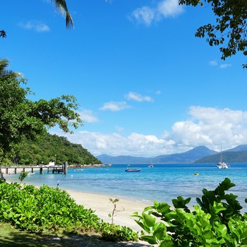 Strand på Fitzroy Island - Queensland i Australien