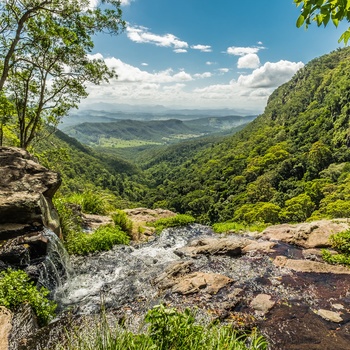 Lamington National Park, Queensland i Australien