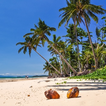 Lækker strand Mission Beach i Queensland - Australien