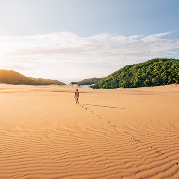 Stranden Noosa Beach, Sunshine Coast, Australien - ”Copyright – Tourism and Events Queensland”