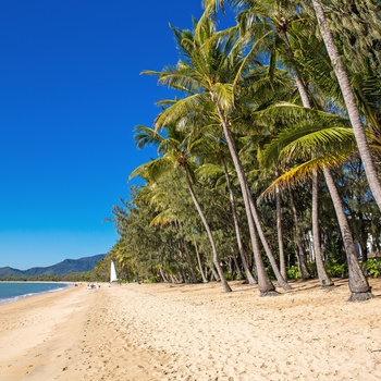 Tropisk strand i Far North Queensland, Australien