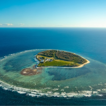Koraløen Lady elliot Island i Queensland Australien