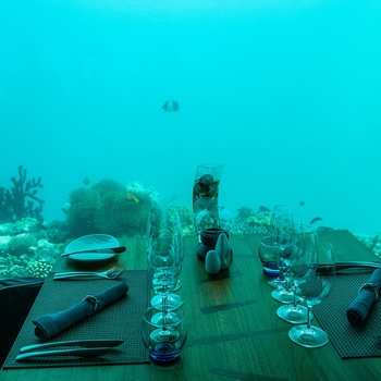 Restaurant Under