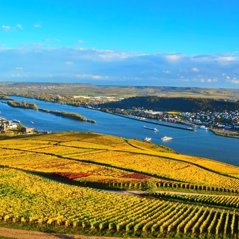 Rhindalen med vinmarker om efteråret, Rhinen-Mosel-Franken i Tyskland