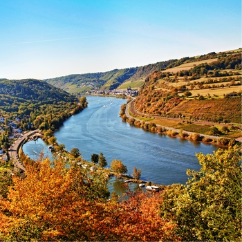 Efterår ved Rhinenfloden i Tyskland