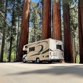 Road Bear M 23-25 ft.