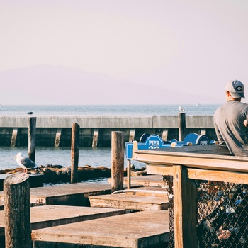 Far og datter ser på søløver på Pier 39, Fishermans Warf i San Francisco - Foto Pontus Wellgraf