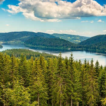 Schluchsee i Schwarzwald