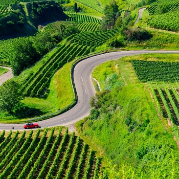 Badische Weinstrasse ved Kaiserstuhl, Schwarzwald i det sydlige Tyskland