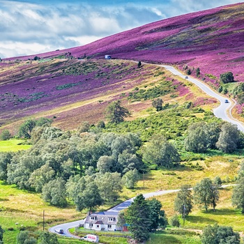 Vej gennem Cairngorms Nationalpark i Skotland