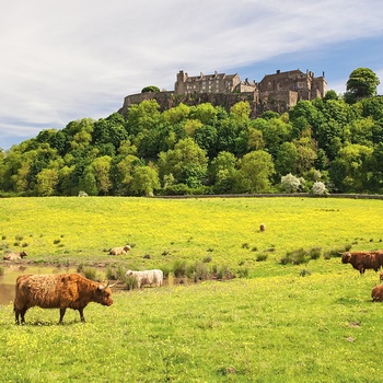 Skotland Stirling Castle