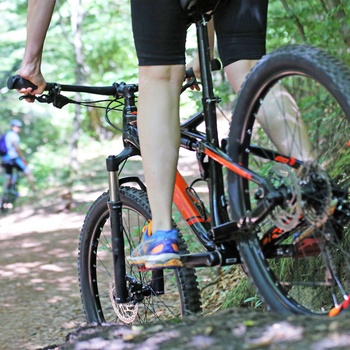 Mountainbiking med venner / familie i skov