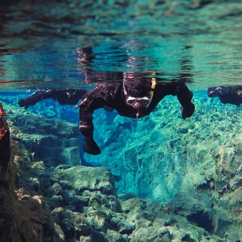 Snorkling i Island