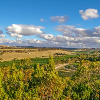 Landbrugsland og vinmarker Clare Valley - South Australia