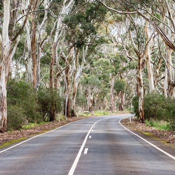 Kangaroo Island, South Australia