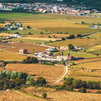 Vinmarker i Penedès-området - Spanien