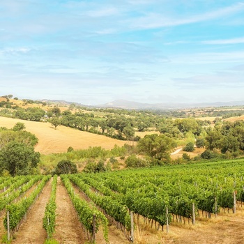 Spanien, La Rioja - vinmarker