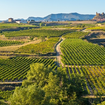 Vinområdet Rioja i baskerlandet, Spanien