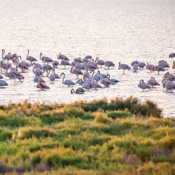 Ebro Delta i Spanien