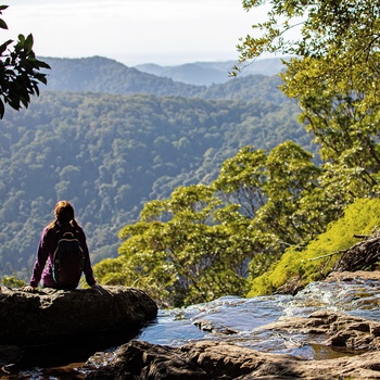 Hiker nyder udsigten i Springbrook National Park – Queensland i Australien