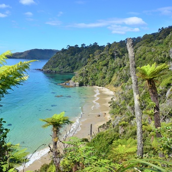 Kyststrækning på Stewart Island - New Zealand