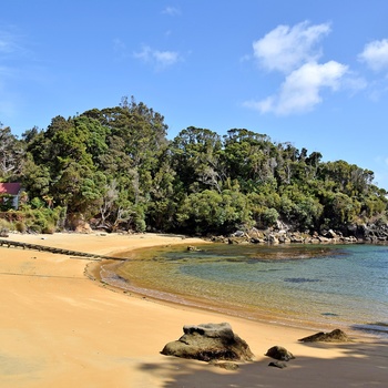 Lille strand på Ulva Island - Stewart Island, New Zealand