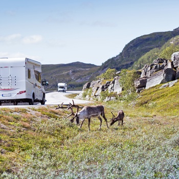 Autocamper i det nordlige Sverige