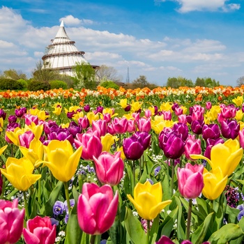 Elbauenpark og Milleniuntårnet, Magdeburg - Midttyskland - ©Andreas_Lander_MVGM