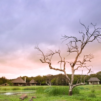 Phinda Zuka Lodge
