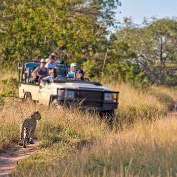 På safari i Game Reserve i Sydafrika