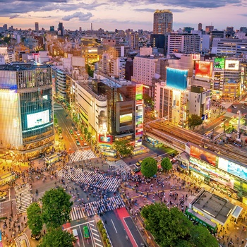 Shibuya Crossing i Tokyo - verdens mest travel fodgængerfelt