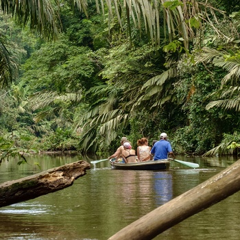 I robåd med guide i Tortuguero National Park - Costa Rica