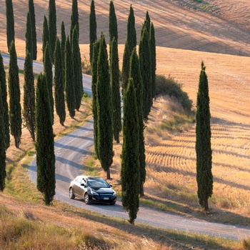 Bil kører på lille vej gennem det toscanske landskab nær Siena - Italien