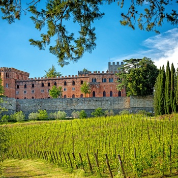 Vinslottet  Castello di Brolio i Toscana