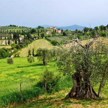 Landskab i Chianti området, Toscana