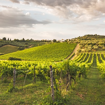 Poggio Casciano, vinområde i Toscana, Italien