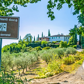 Vinrute gennem Toscana, Italien