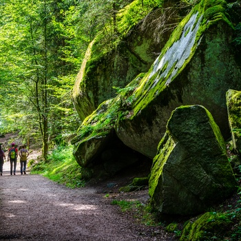 Turgængere i Schwarzwald i Tyskland