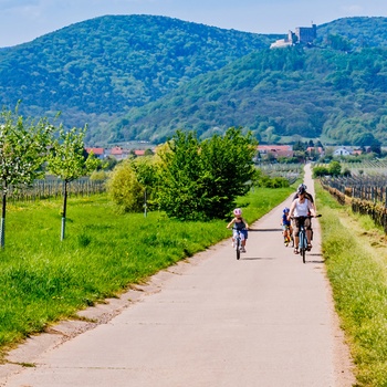 Familie på cykeltur i Tyskland