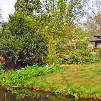 Den Japanske Have i Leverkusen, Tyskland