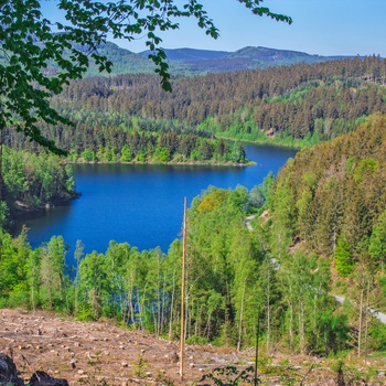 Harzen Nationalpark med skov og sø, Tyskland