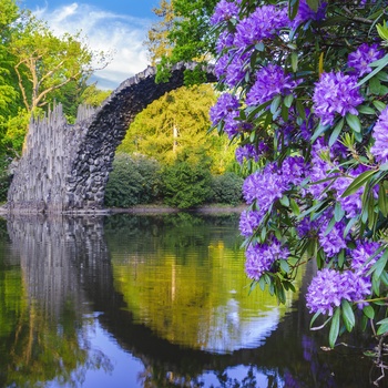 Rakotzbrücke er kendt som Djævelens Bro i Rhododendron Park Kromlau, Midttyskland 