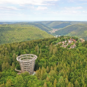 Udsigtstårnet i Black Forest, Schwarzwald, Sydtyskland