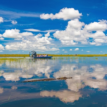 Med airboat i Everglades og spotte alligatorer - Florida i USA