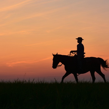 Siluetten af en cowboy i USA