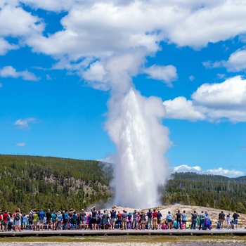 Old Faithful Geyser i Yellowstone National Park - USA