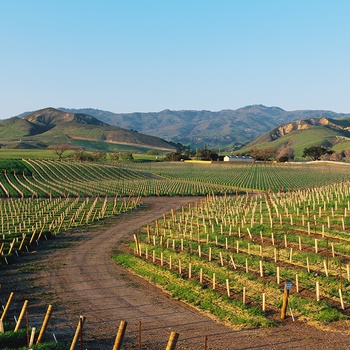 USA Californien Santa Ynez Valley