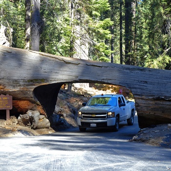 USA Californien Sequoia Nationalpark