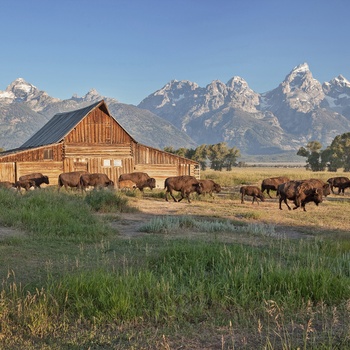 Grand Teton National Park, Wyoming